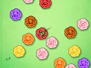 Flower Match: Honey Puzzle