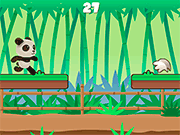 Panda Running