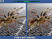 Spider Hidden Difference