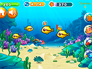 Fish Resort