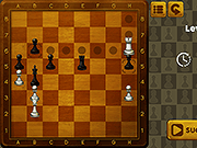 Chess Mate Puzzle