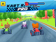 Kart Racing Pro