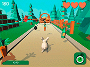 Rabbit Runner