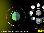 Phases of Moon