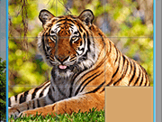 Animals Slide Puzzle