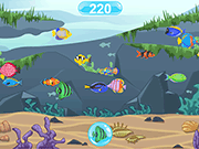 Find the Fish Html5