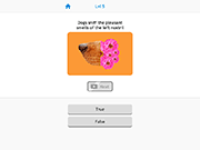 True False Quiz