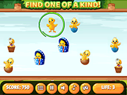 Find Unique Chick