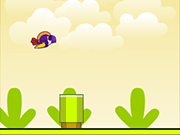 Birdy Bird
