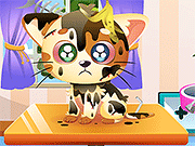Funny Kitty Care