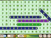 Word Search Insects