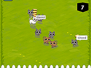 Cat Safari 2