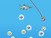 Tako Treasure of the Sea