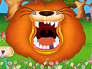 Wild Animal Doctor Adventure