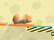 Hamster Maze Online
