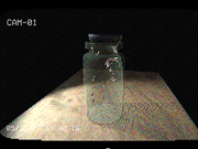 Flies in a Jar