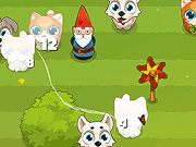 Pet Round-Up