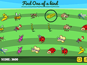 The Unique Insect