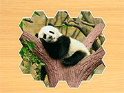 Jigsaw Puzzles Hexa