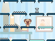 Puppy Jump