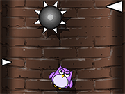 Tiny Owl!