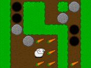 24 Carrots