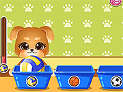 Funny Puppy Dressup