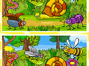 Insects Photo Differences