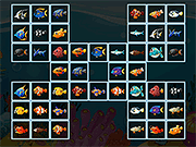Fish Connections