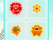 Image Matching