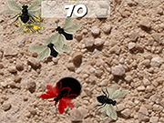 Smash the Flies