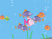Touch Fishing