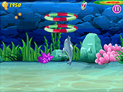 My Dolphin Show 9