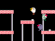 Bird Head