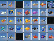 Find the Fish