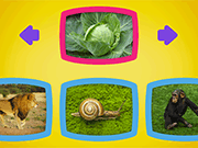 What Do Animals Eat?