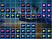 1010 Fish Blocks