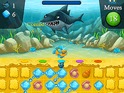 Shell Splash