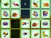 Find the Insect