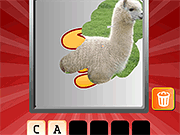 Scratch and Guess Animals