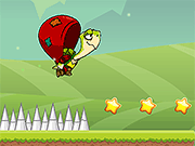 Turtle Run Adventure