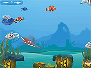 Angry Sharks