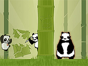 Bamboo Panda