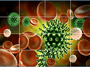 Coronavirus Slide